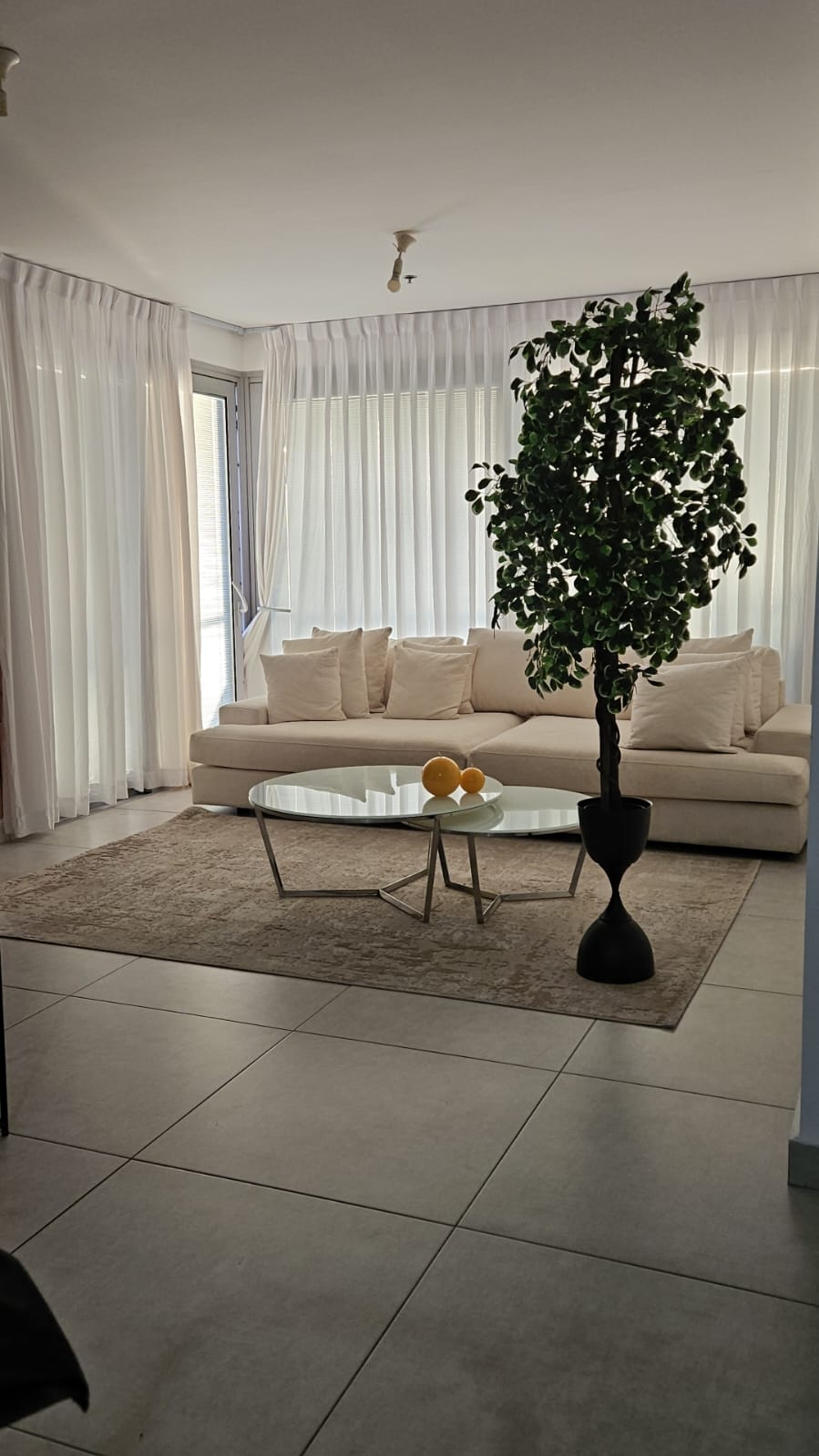 WhatsApp Image 2026-03-25 at 12.55.56